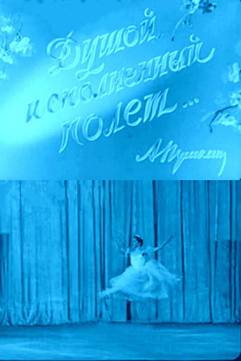 When the Spirit Soars in Flight poster