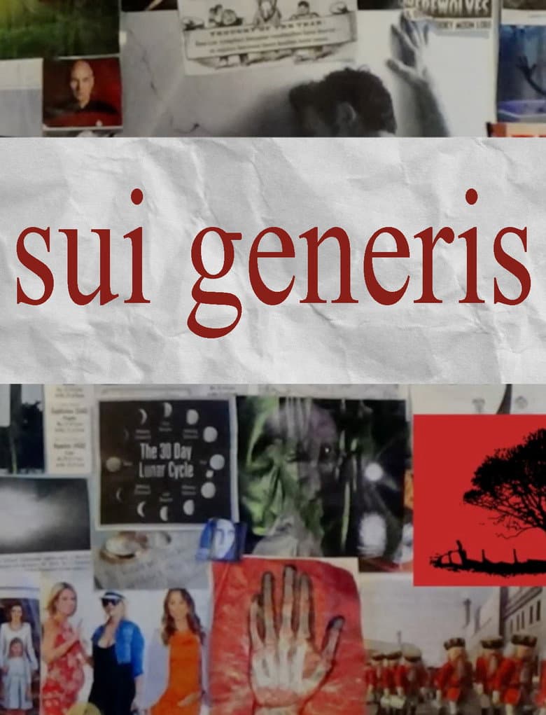 Sui Generis poster