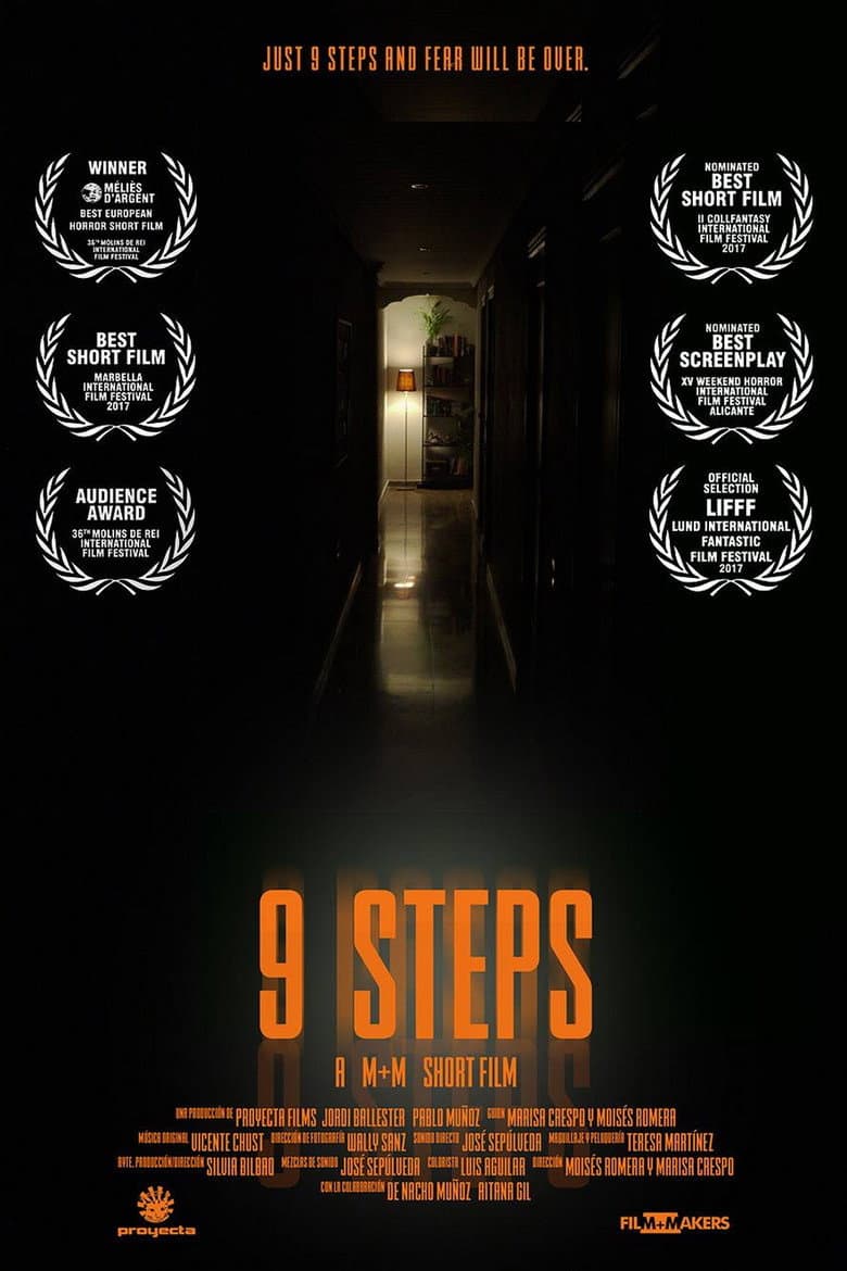 9 Steps poster