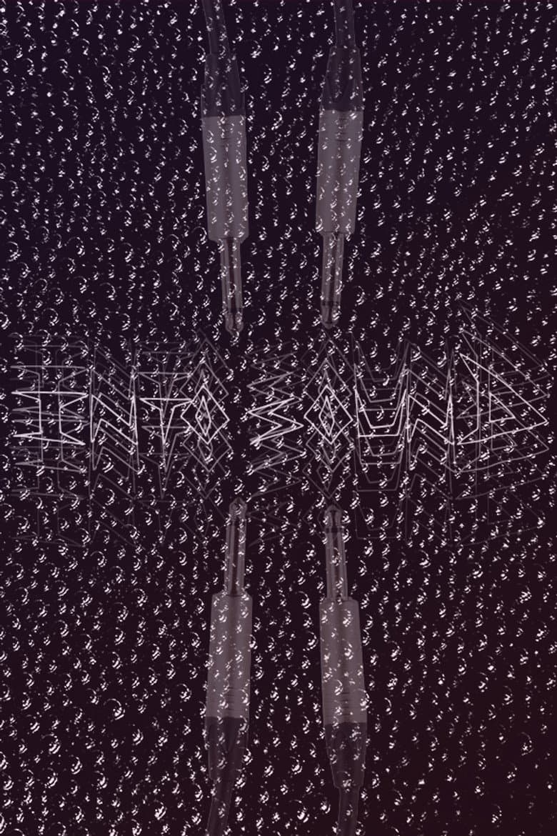 Into Sound poster