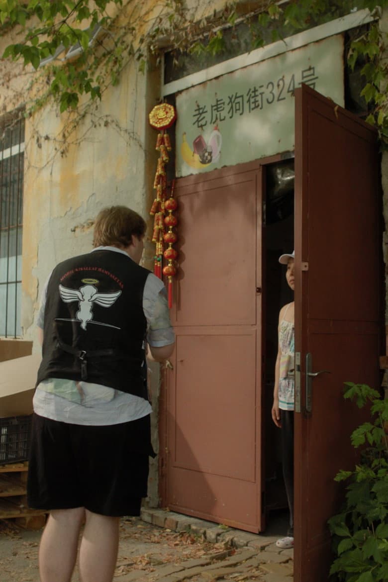 Paws in Paradise poster