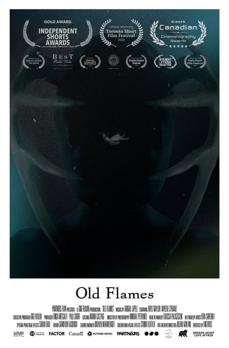 Old Flames poster