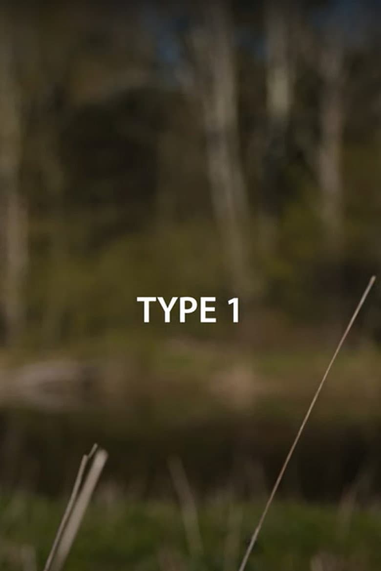 Type 1 poster