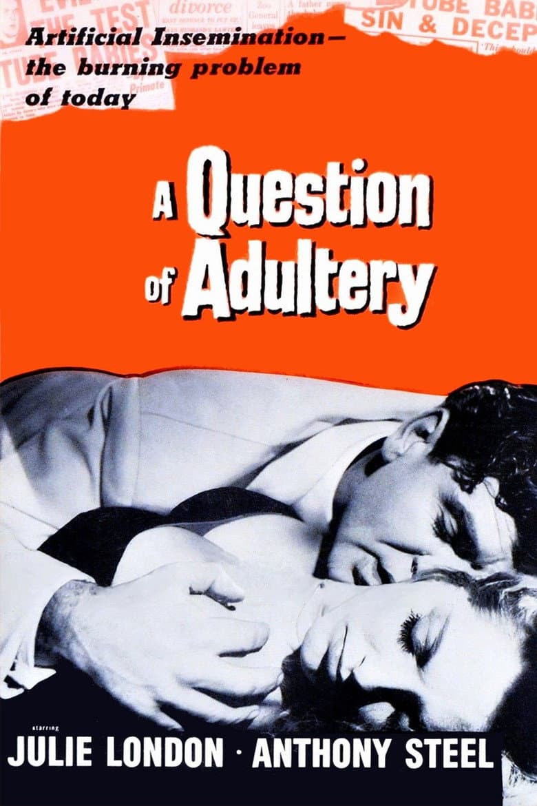 A Question of Adultery poster