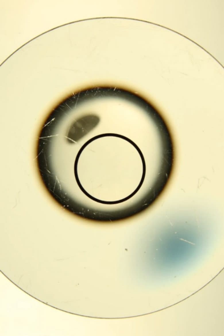 Fok Nabo Distorio poster