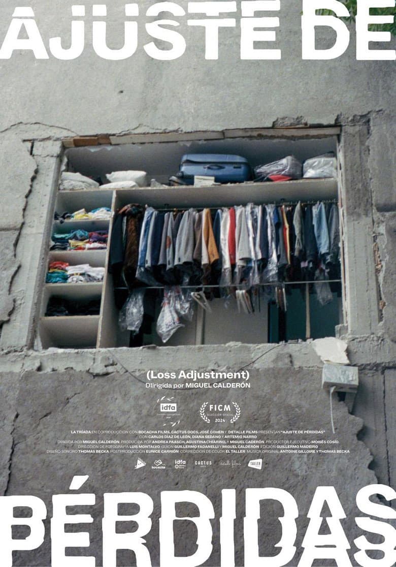 Loss Adjustment poster