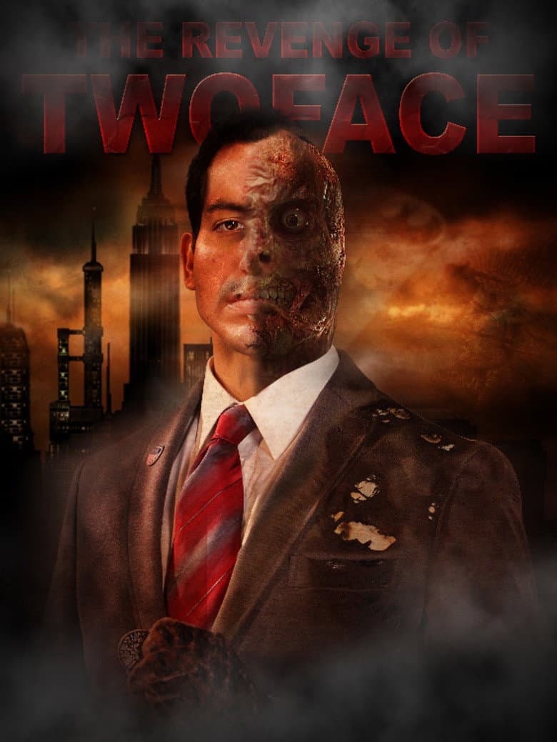 Batman: Two Face's Revenge poster