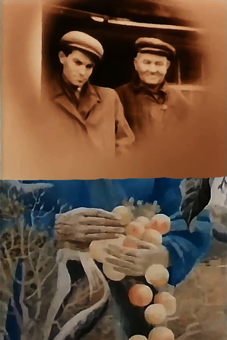 In the White Cold, the Sun of Ukraine poster