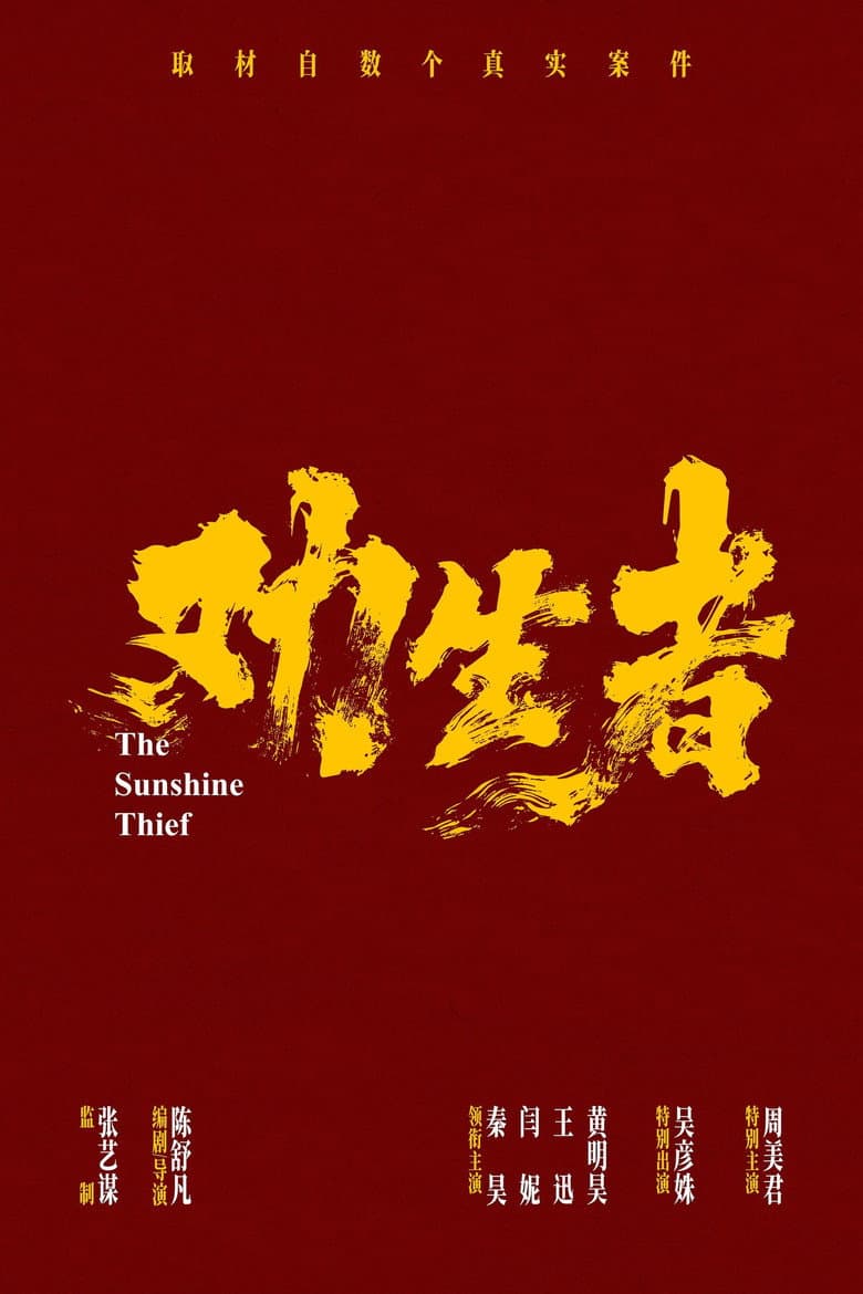 Sunshine Thief poster
