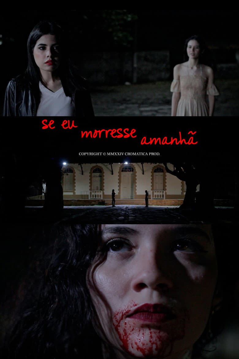 Se eu Morresse Amanhã poster