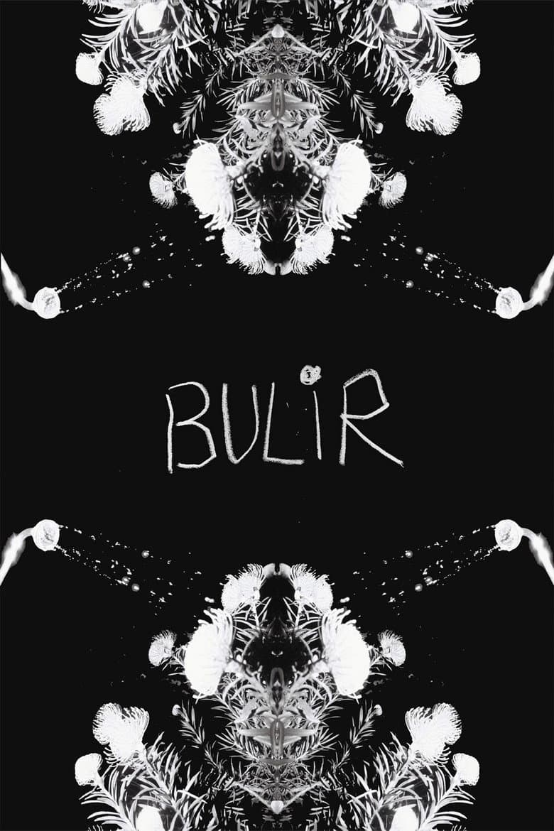 BULIR poster