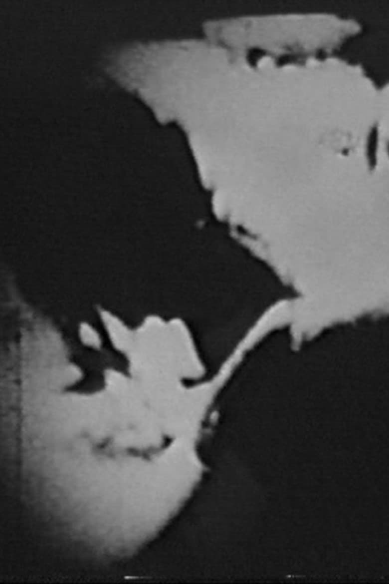 Film Strips II poster