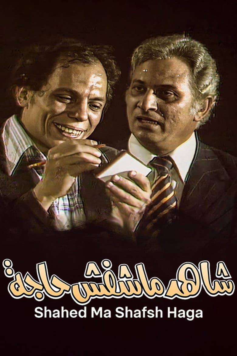 The Witness Who Didn't See Anything poster