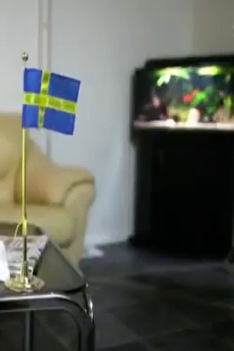 Sverigedemokraterna - vägen till riksdagen poster