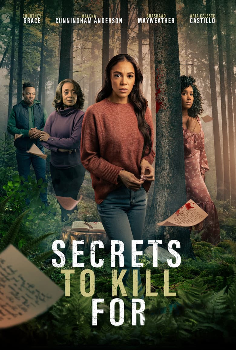 Secrets to Kill For poster
