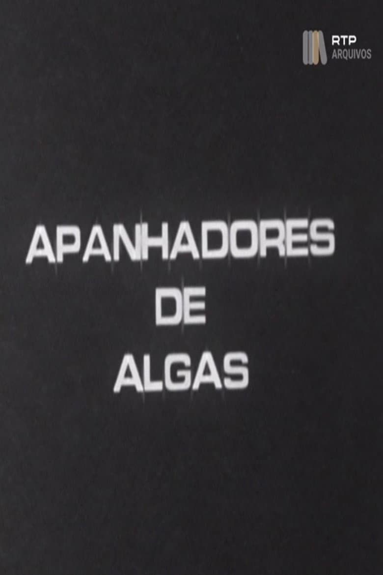 Apanhadores de Algas poster