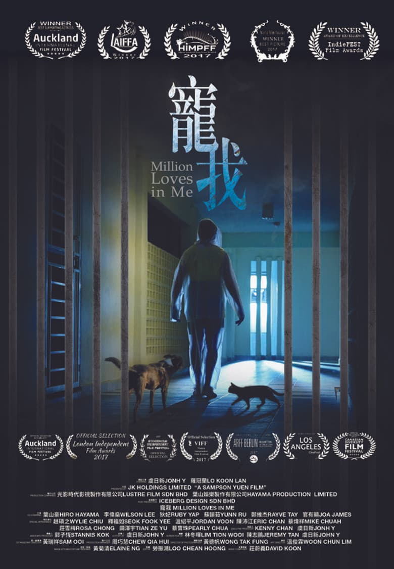 Million Loves in Me poster