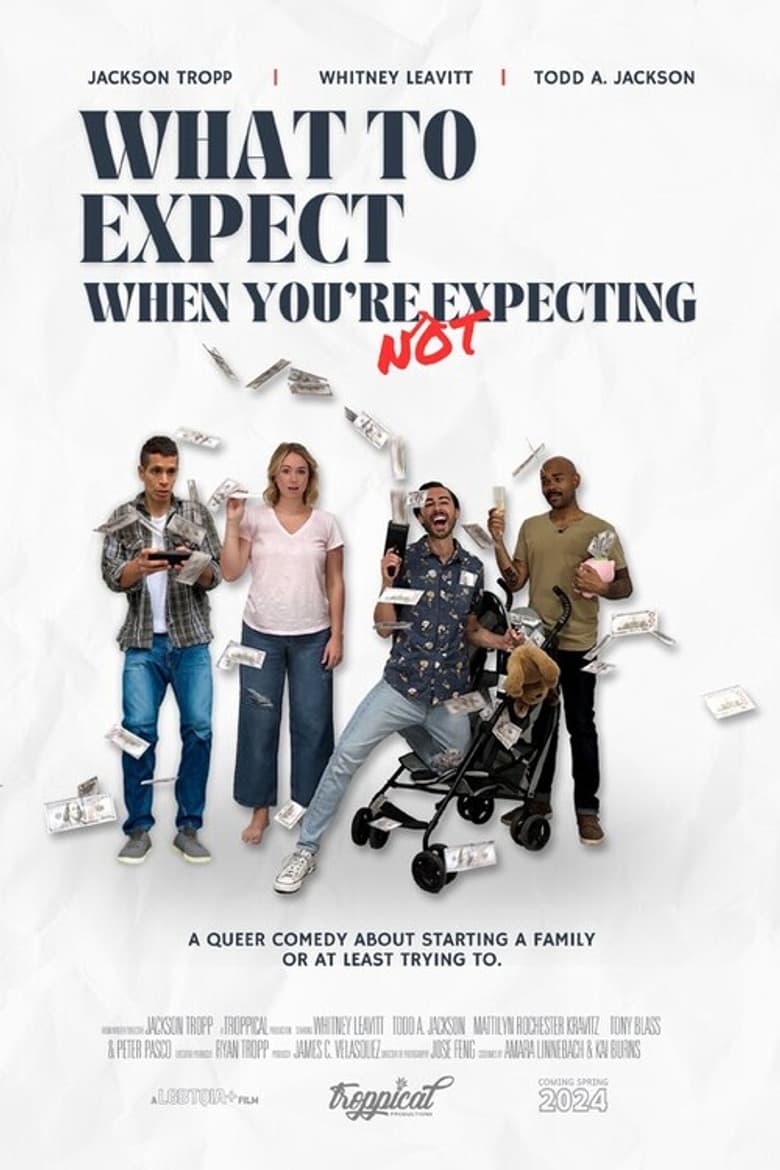 What to Expect When You're Not Expecting poster