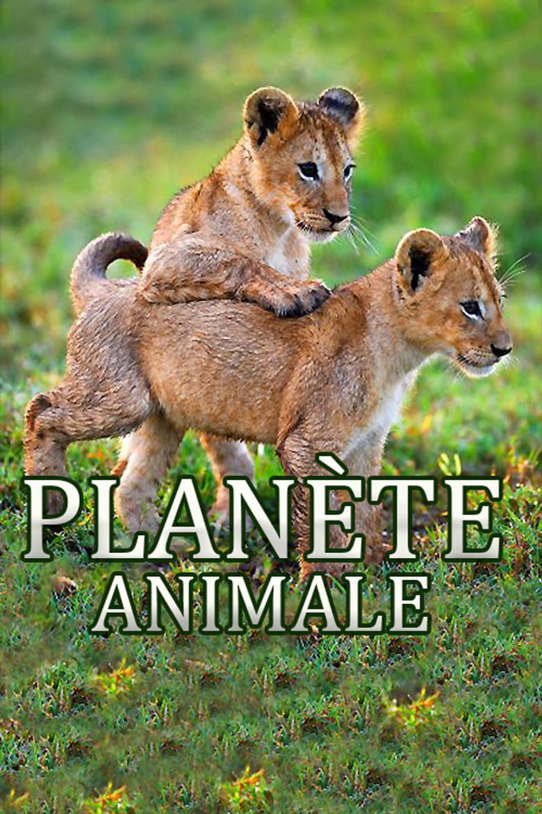 Animal Planet poster