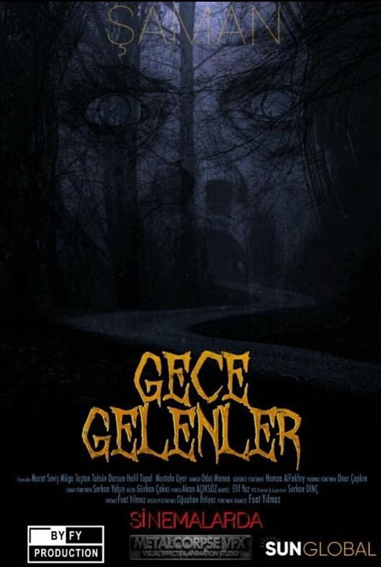 Gece Gelenler poster