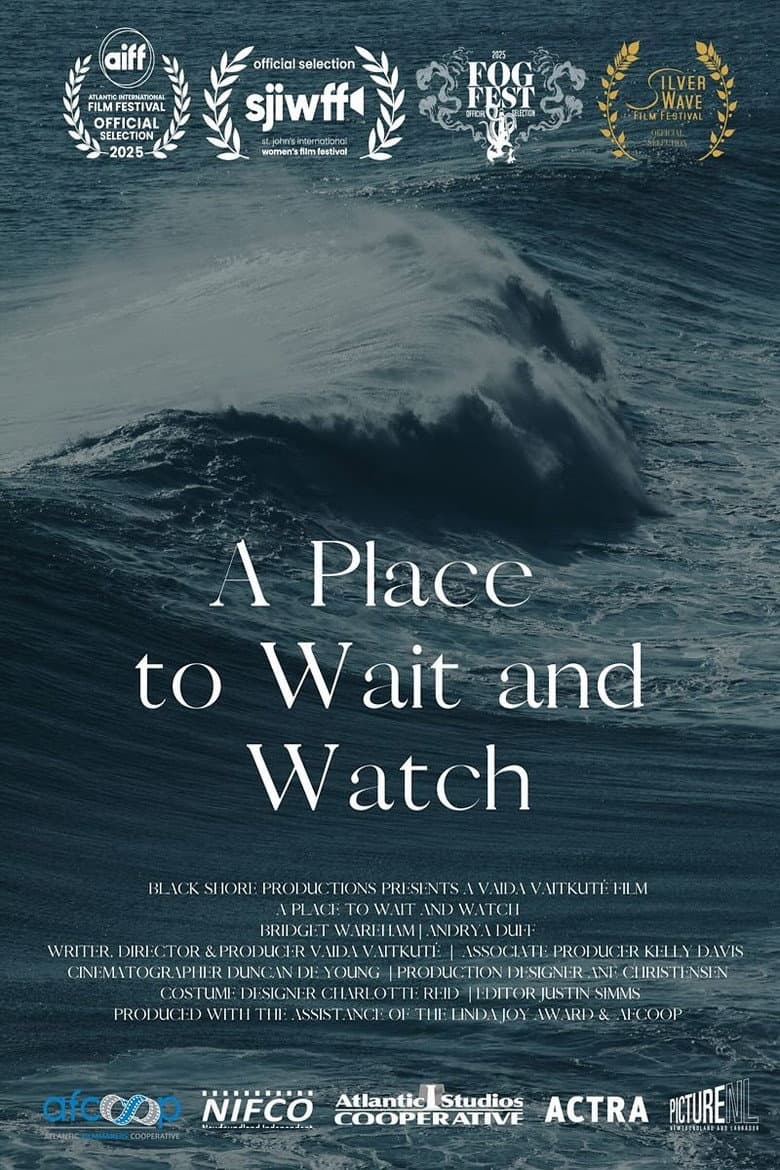 A Place to Wait and Watch poster