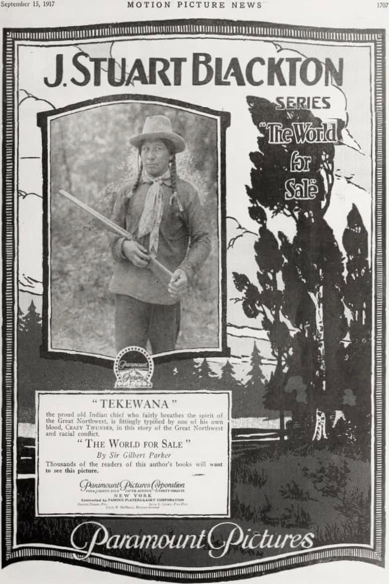 The World for Sale poster