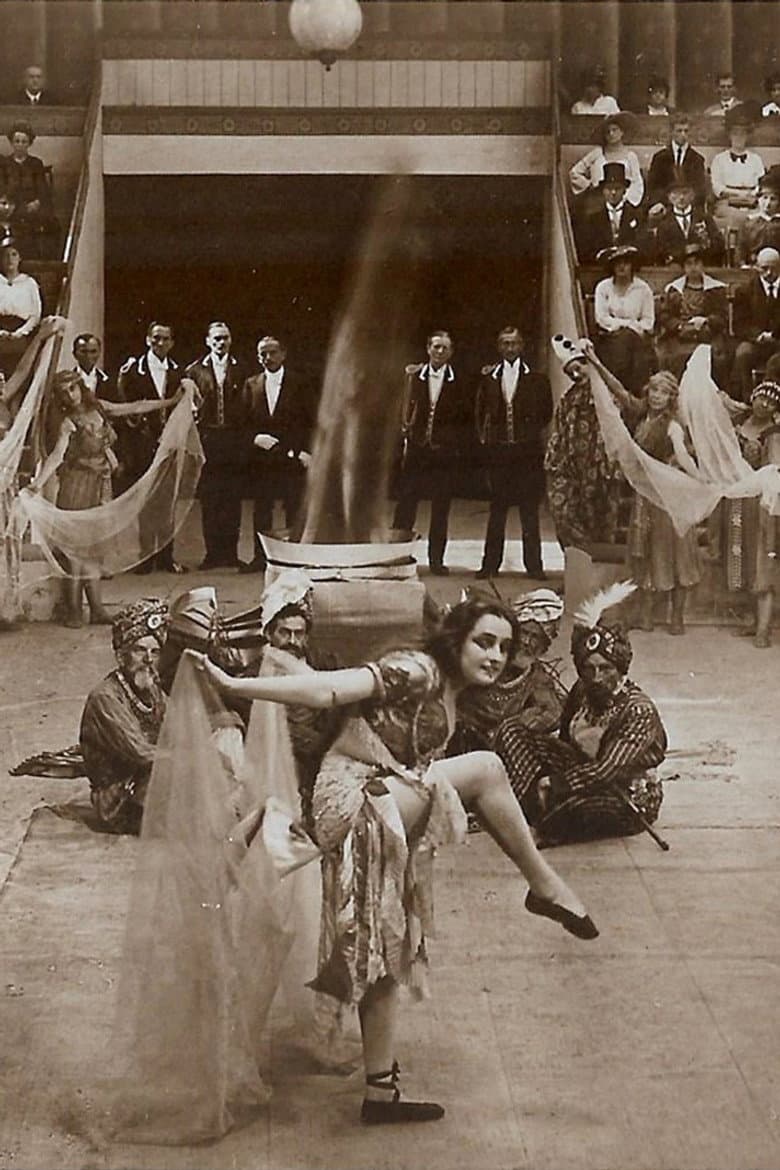 Des Lebens ungemischte Freude poster