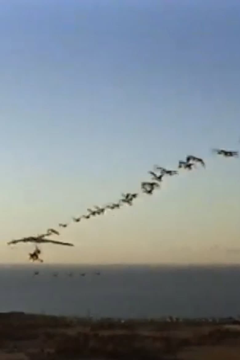 The Ultra Geese poster