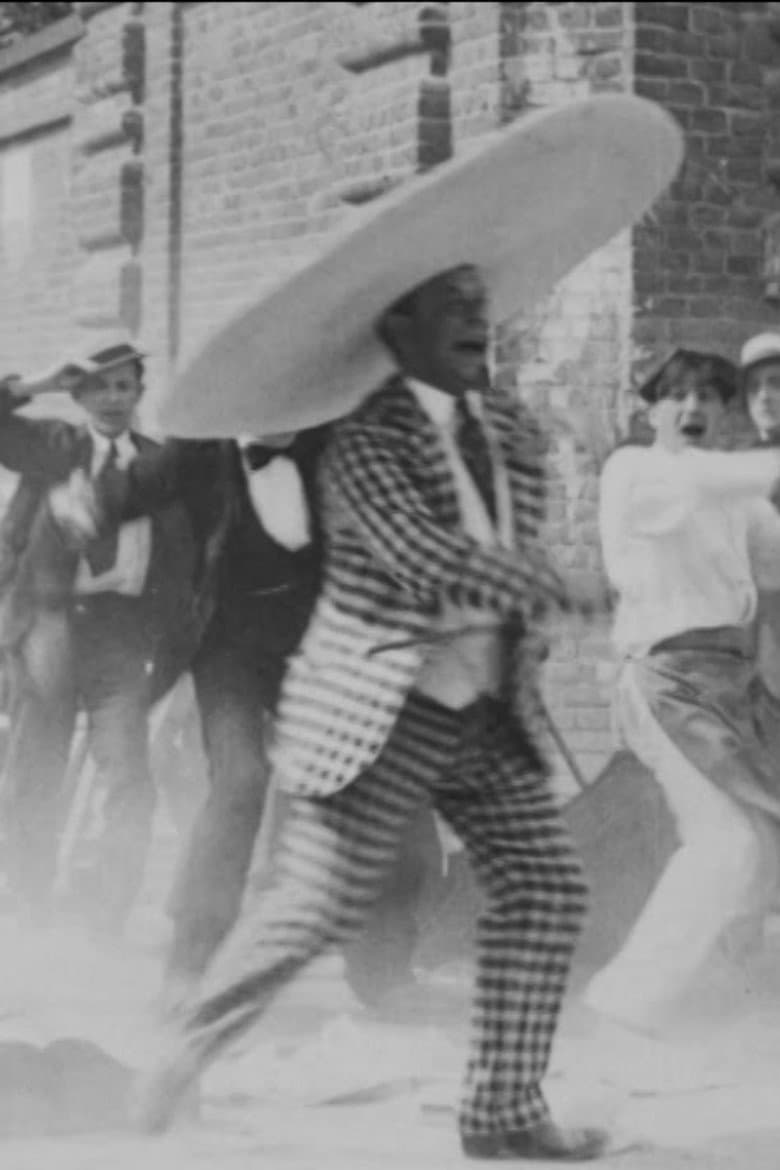 Wide Brimmed Hats Are Fashionable poster