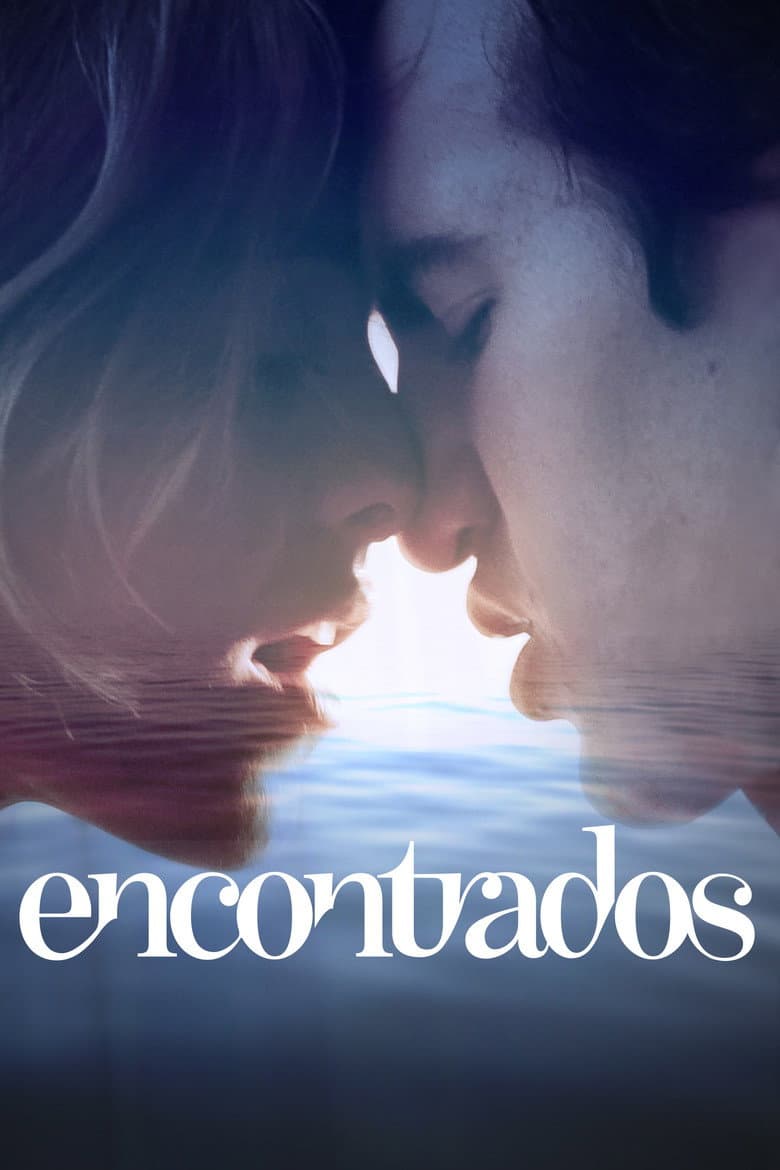 Encontrados poster
