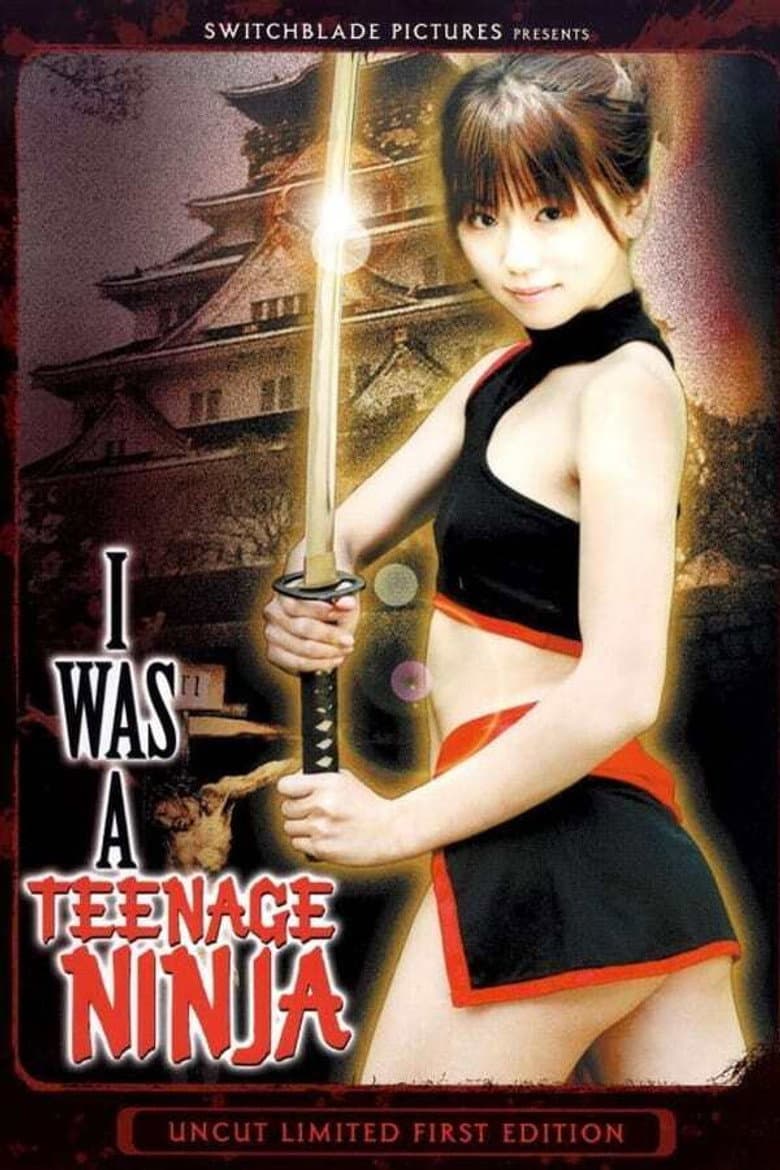 I Was A Teenage Ninja poster