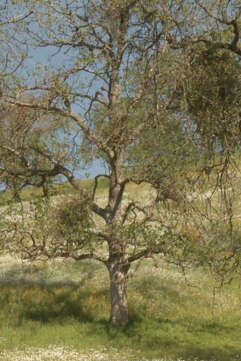 Spring Equinox poster