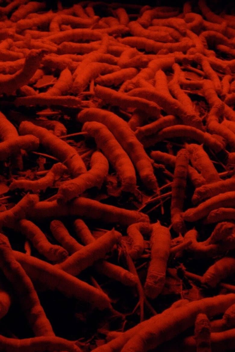 This Haunting Memory That Is Not My Own poster