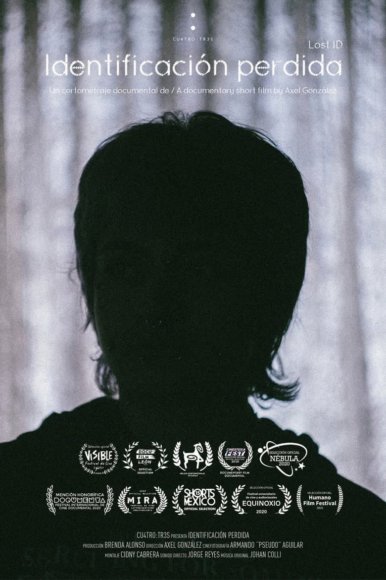 Lost ID poster