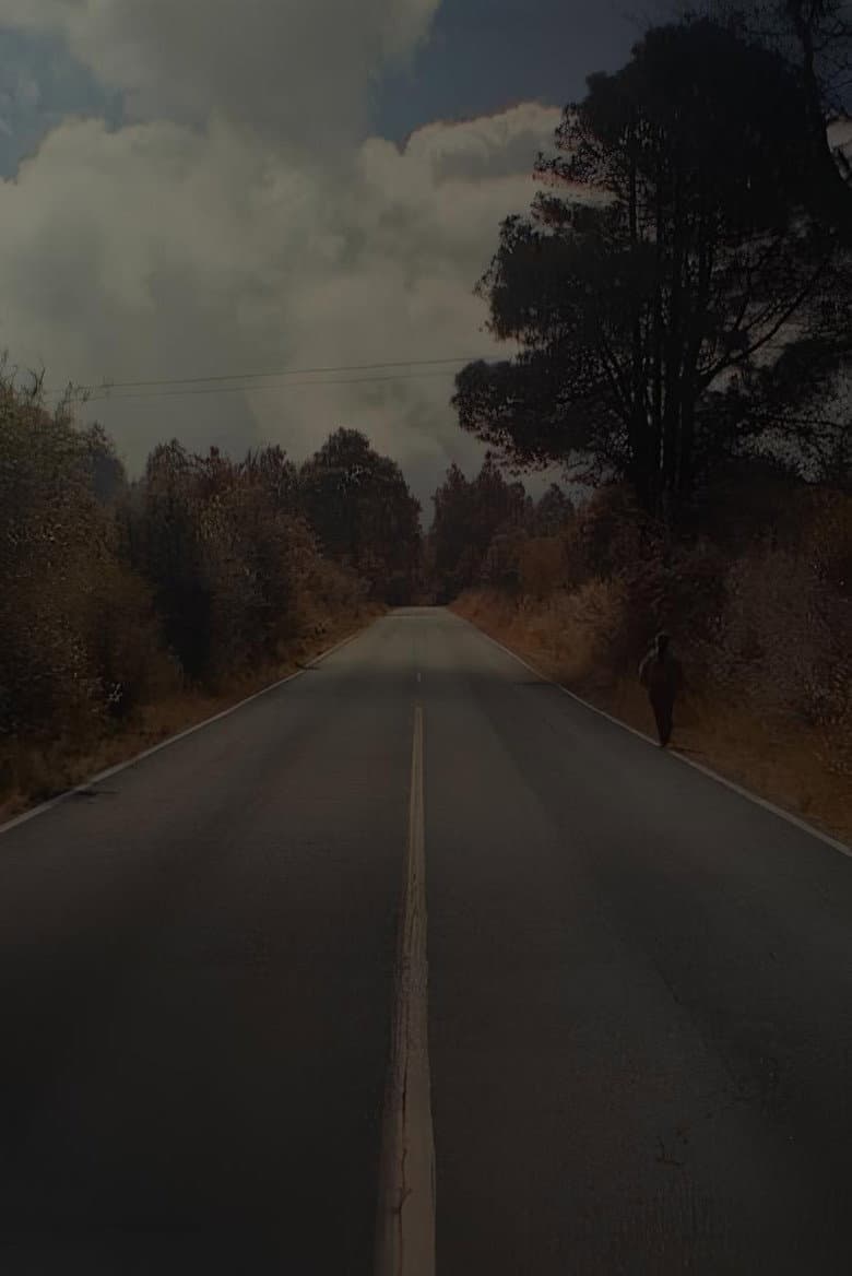 The Captivities poster