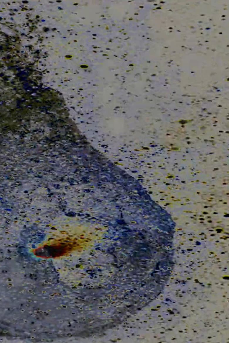 Water Balloon poster