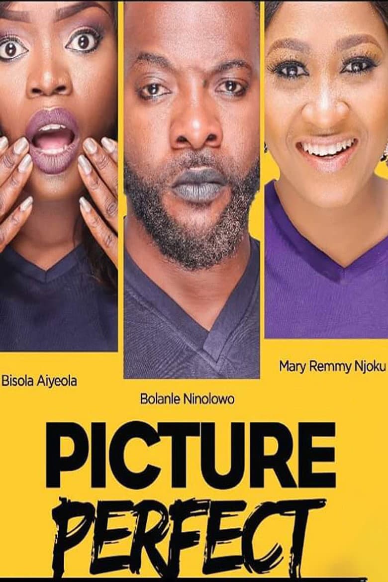 Picture Perfect poster
