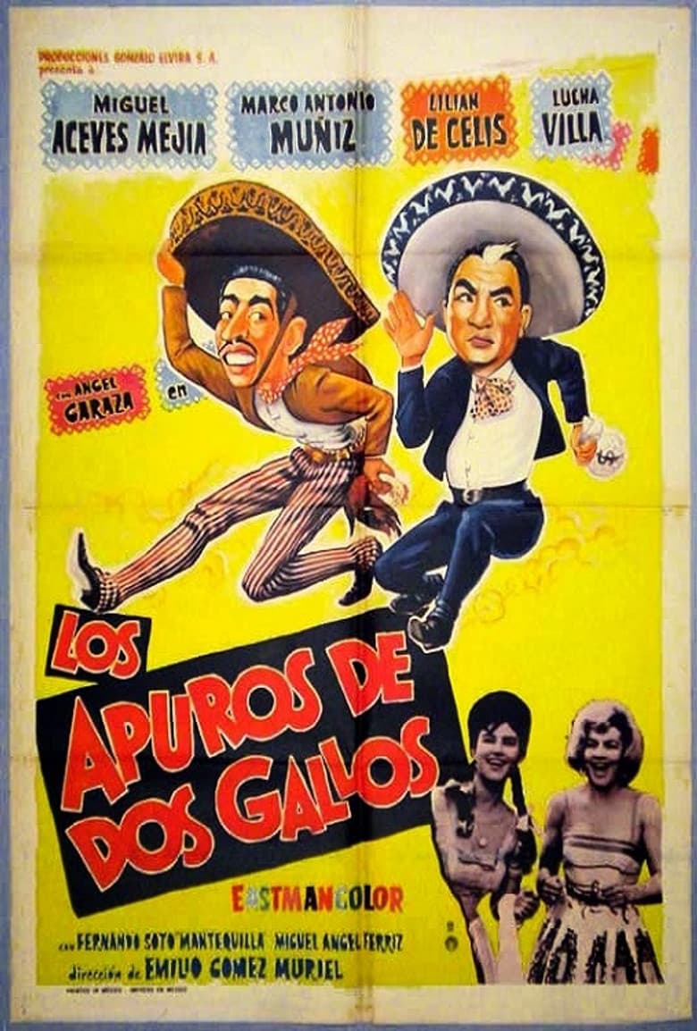 Los apuros de dos gallos poster