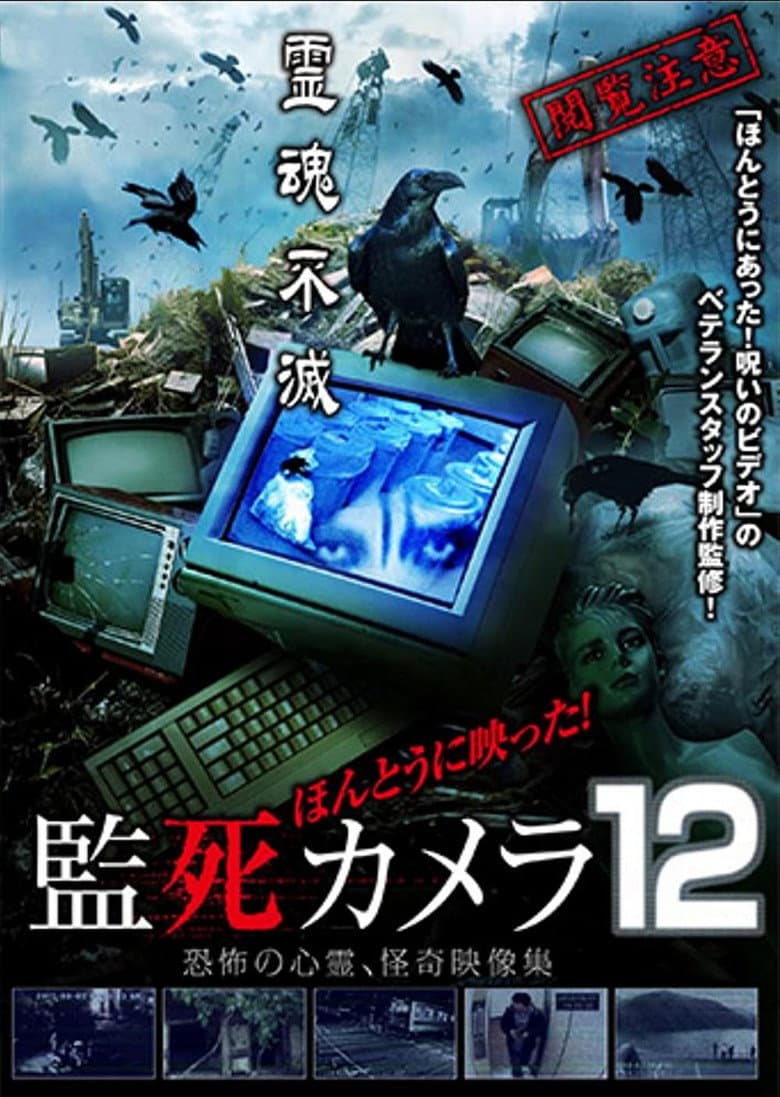 Paranormal Surveillance Camera 12 poster