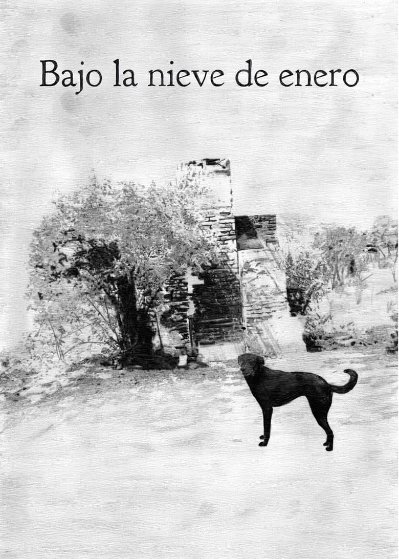 Under the summer snow poster