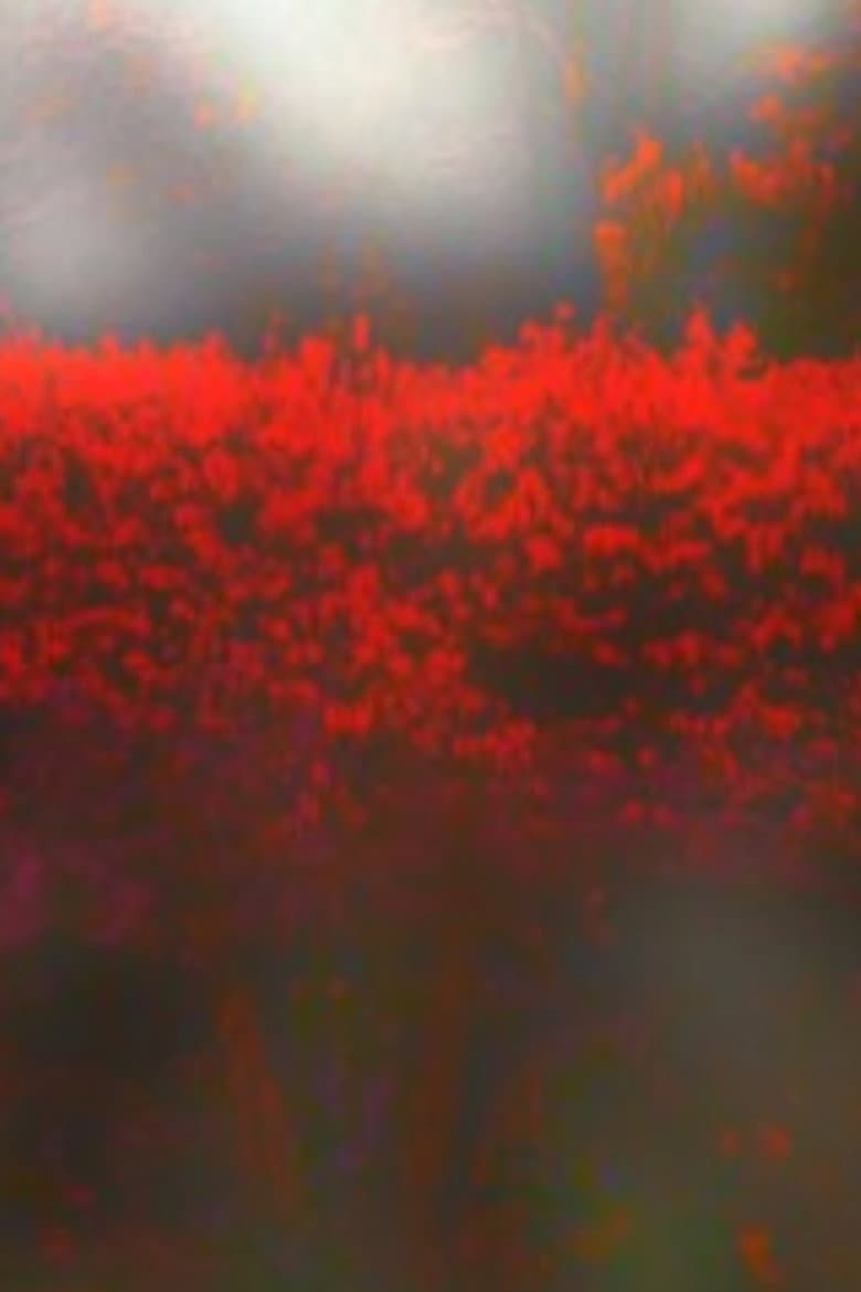 Burning Bush poster