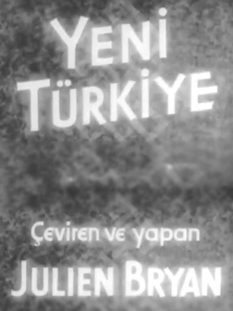 Yeni Türkiye poster