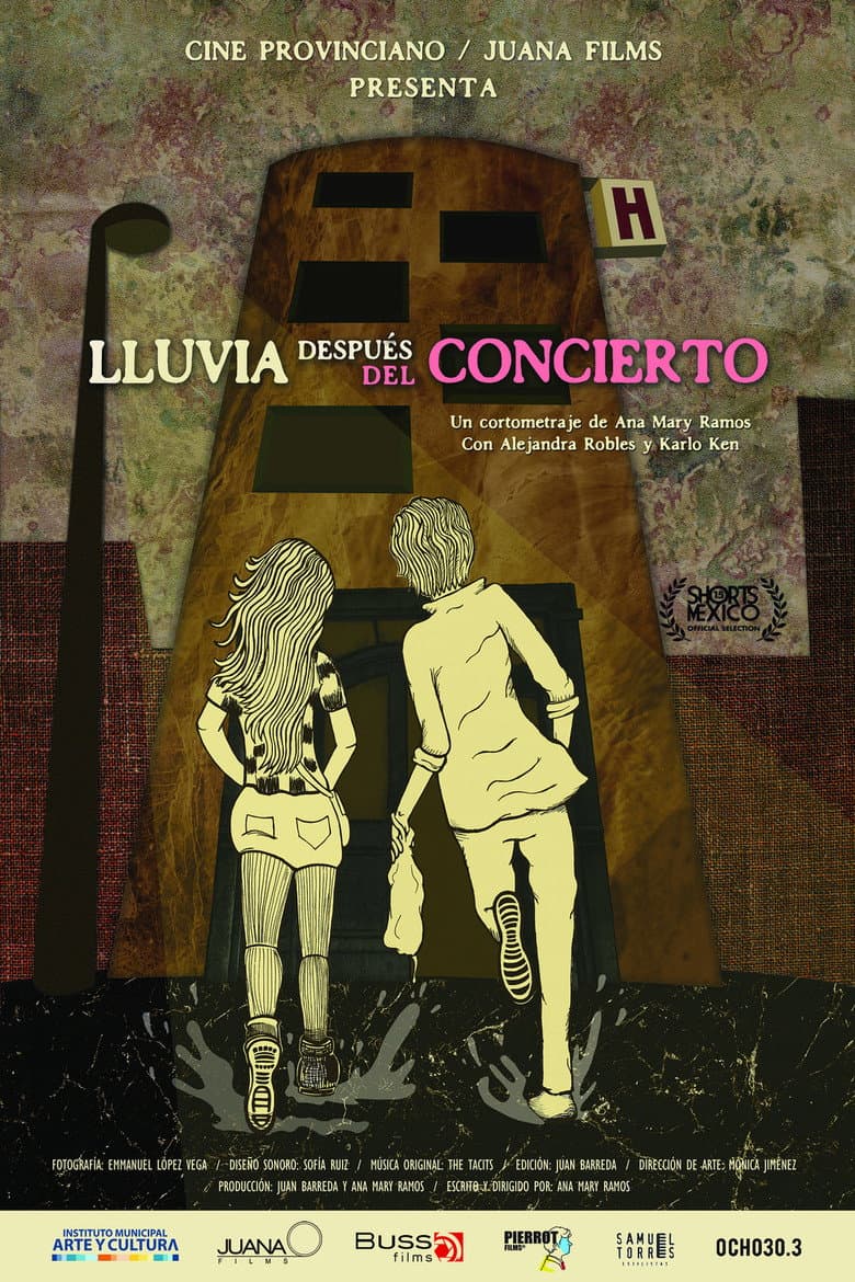 Rain After the Concert poster