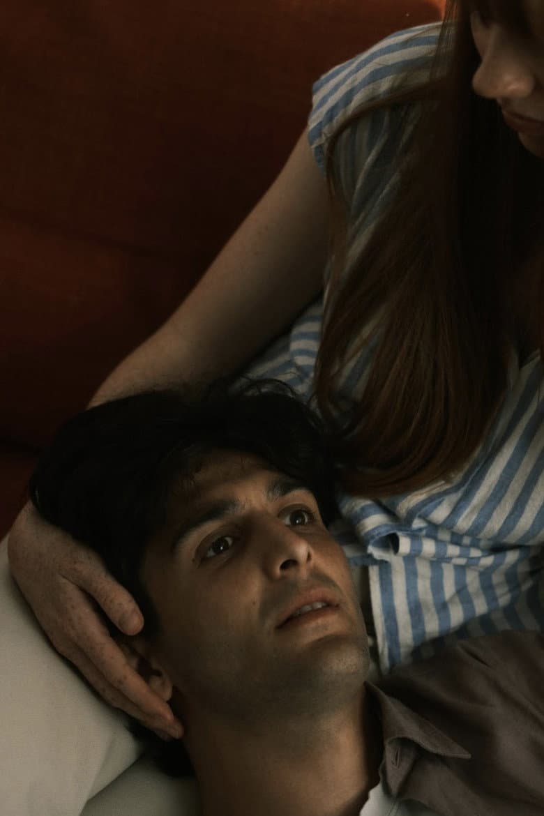 Et brudd i bruddstykker poster