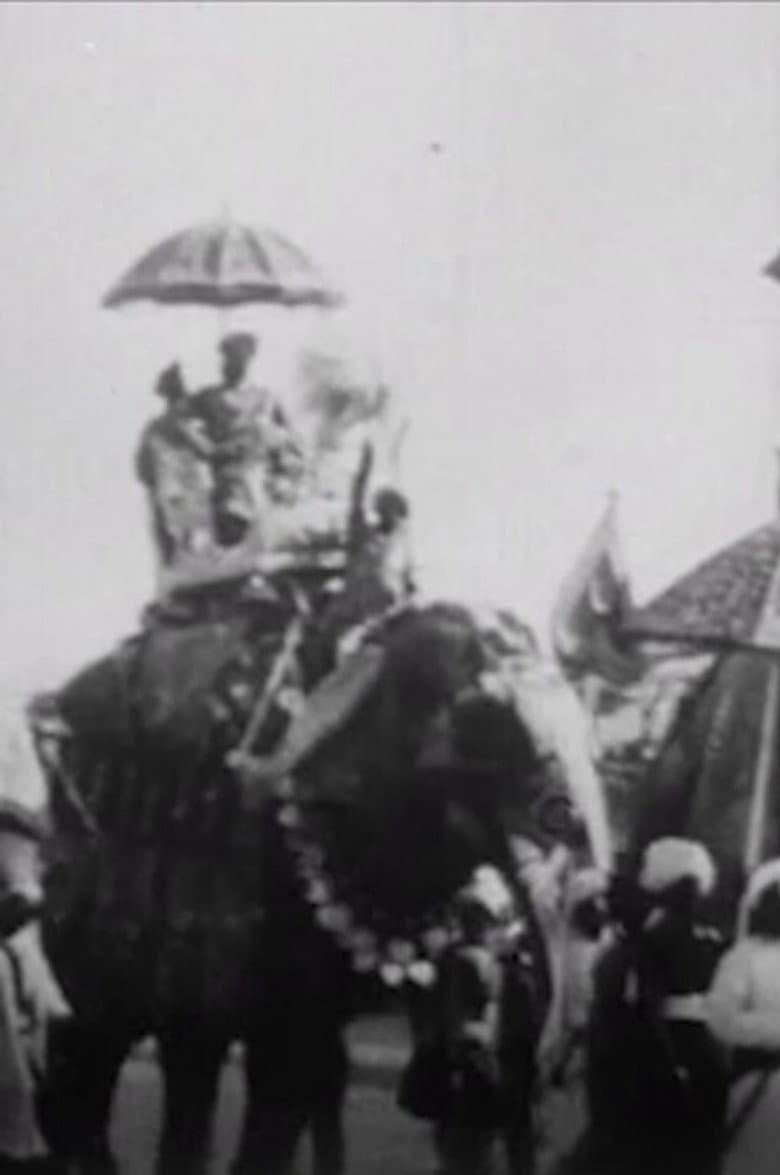 Procession of Elephants with Howdahs - India poster