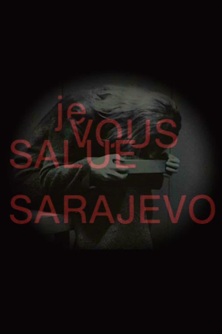 Hail, Sarajevo poster
