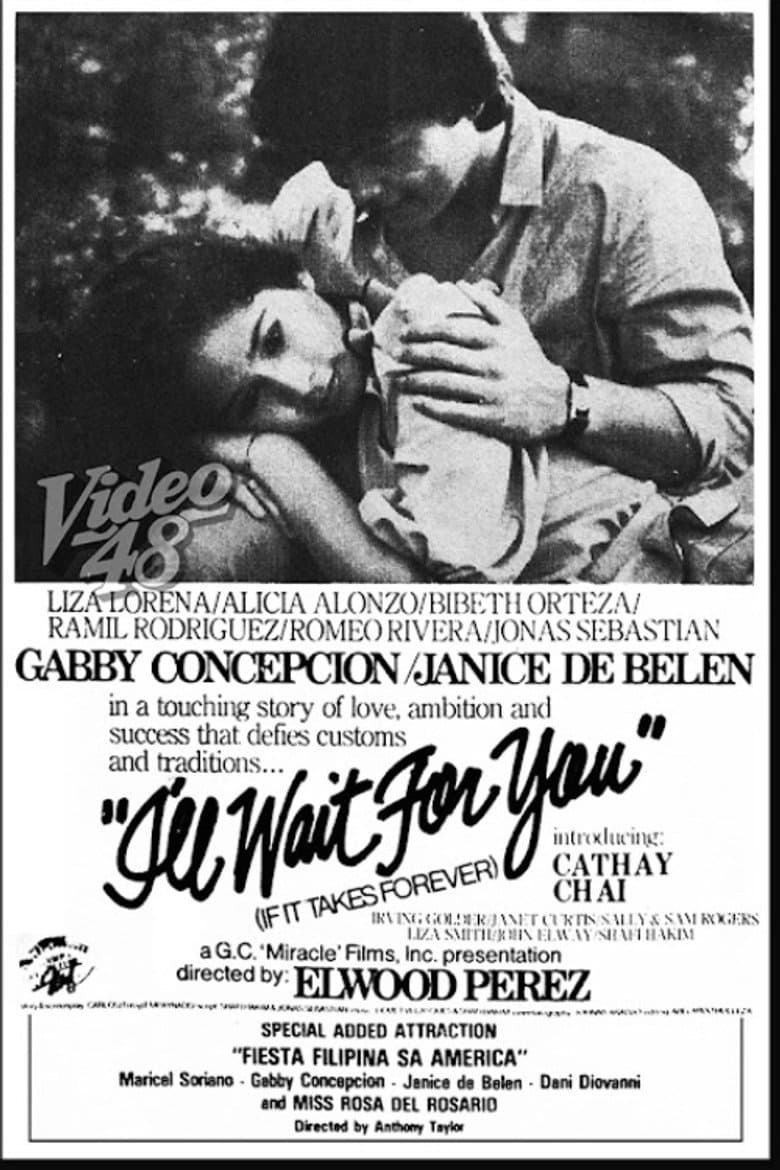 I'll Wait For You (If It Takes Forever) poster