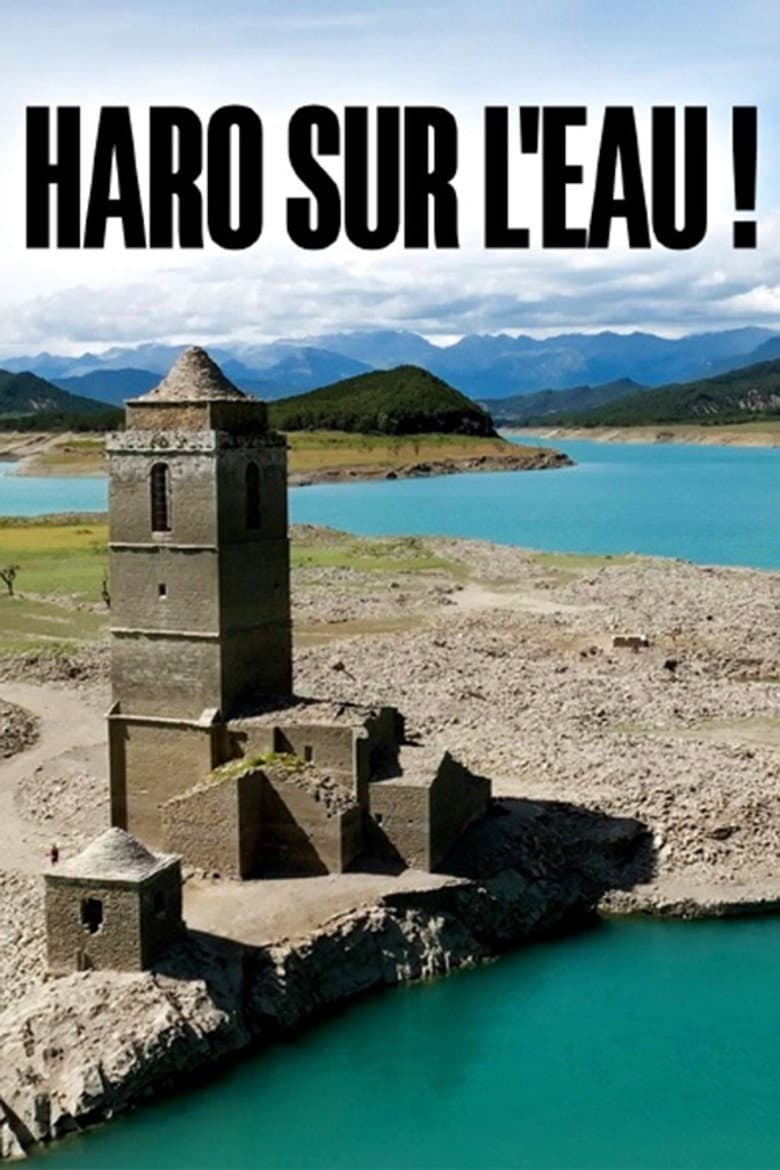 Haro auf das Wasser! Flüsse in Not poster