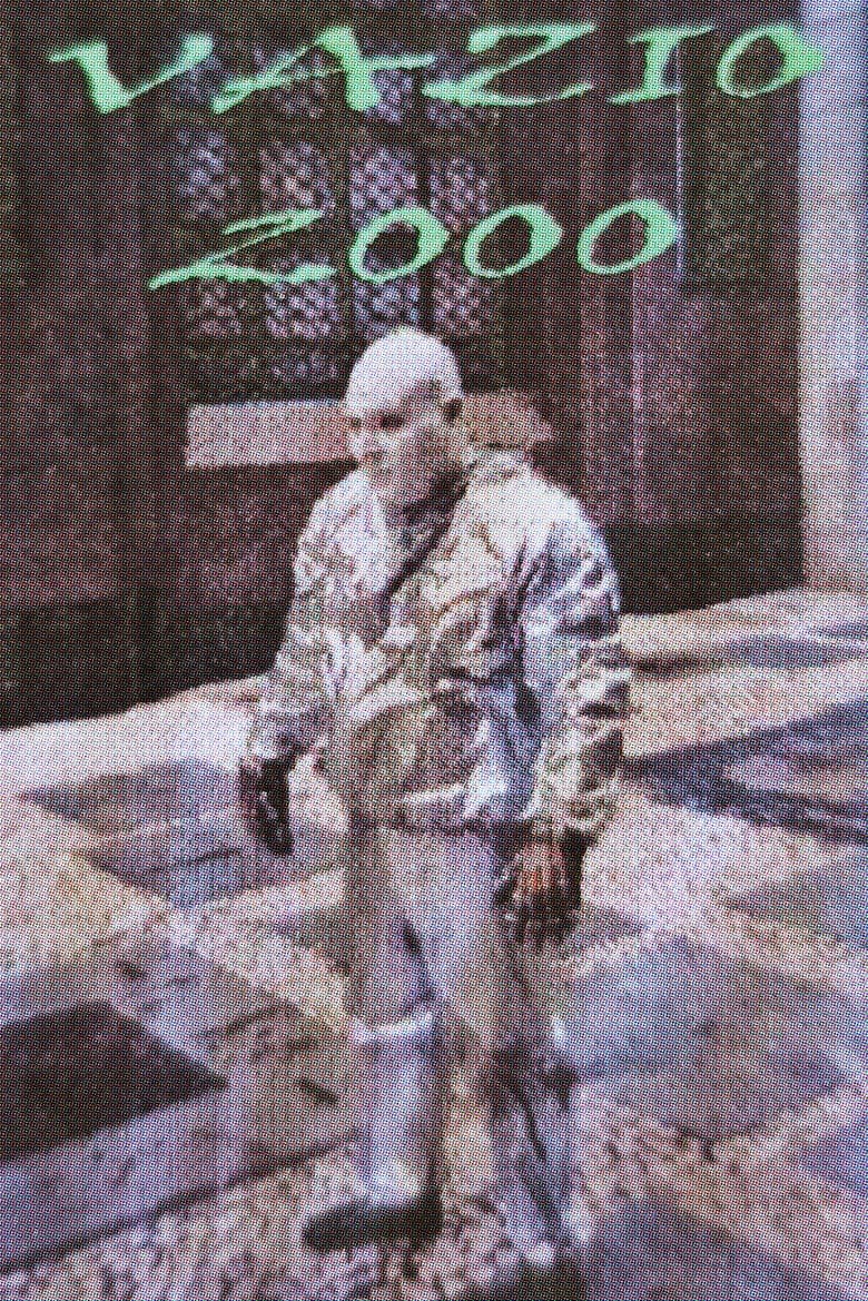 Vazio 2000 poster