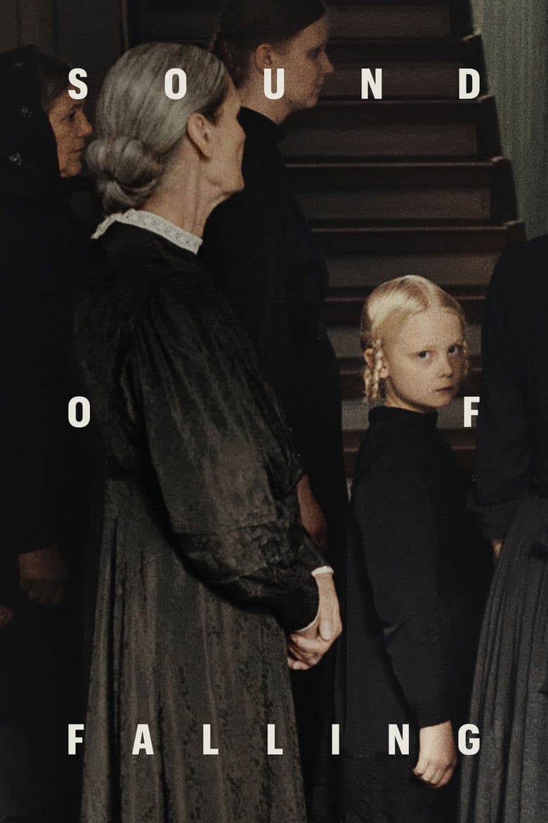 Sound of Falling poster